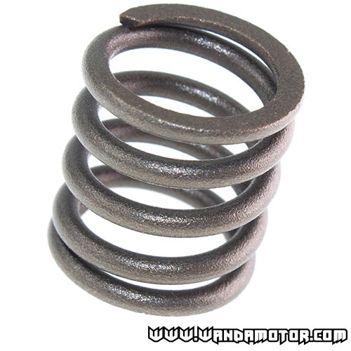 #A11 Z50 clutch spring